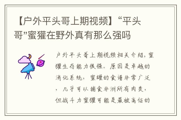 【戶外平頭哥上期視頻】“平頭哥"蜜獾在野外真有那么強(qiáng)嗎？真相在這里-戶外動(dòng)物知識(shí)