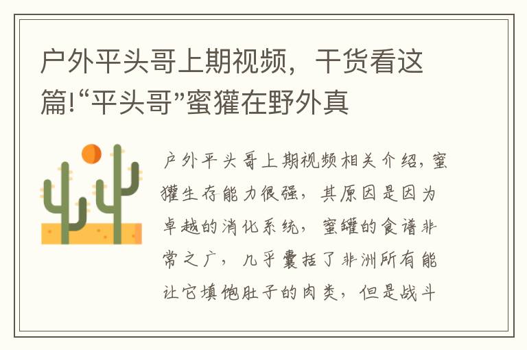 戶外平頭哥上期視頻，干貨看這篇!“平頭哥"蜜獾在野外真有那么強(qiáng)嗎？真相在這里-戶外動物知識