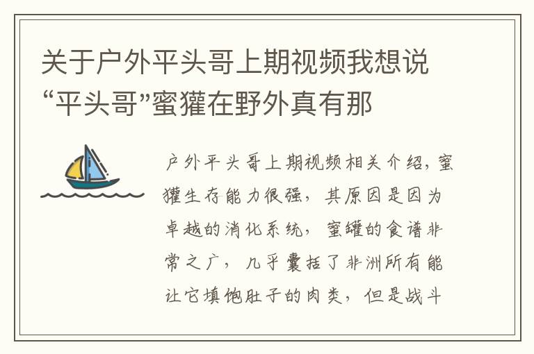 關(guān)于戶外平頭哥上期視頻我想說“平頭哥"蜜獾在野外真有那么強(qiáng)嗎？真相在這里-戶外動(dòng)物知識(shí)