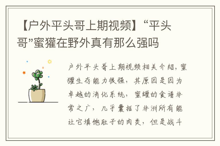 【戶外平頭哥上期視頻】“平頭哥"蜜獾在野外真有那么強嗎？真相在這里-戶外動物知識