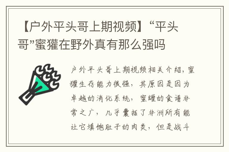 【戶外平頭哥上期視頻】“平頭哥"蜜獾在野外真有那么強(qiáng)嗎？真相在這里-戶外動(dòng)物知識(shí)