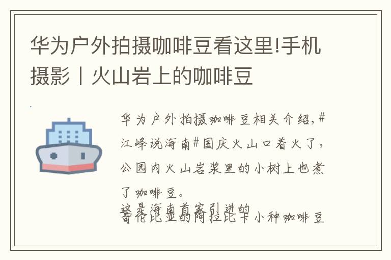 華為戶外拍攝咖啡豆看這里!手機(jī)攝影丨火山巖上的咖啡豆