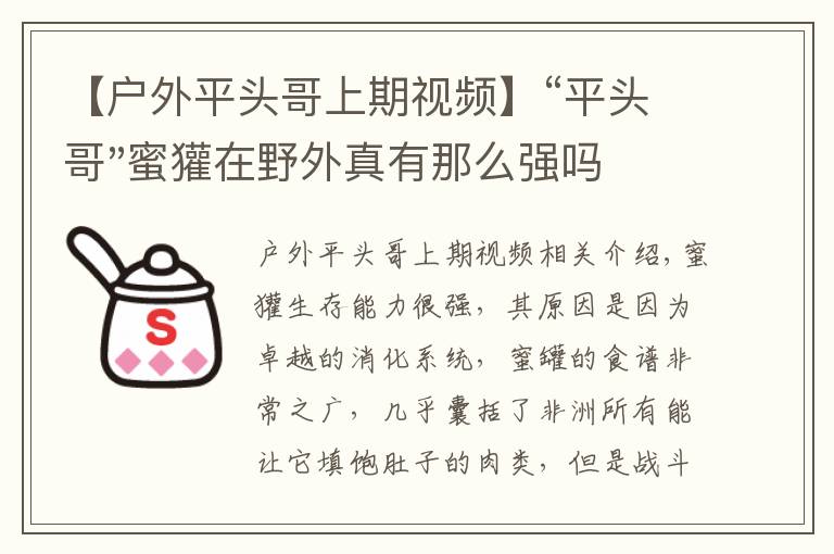 【戶外平頭哥上期視頻】“平頭哥"蜜獾在野外真有那么強嗎？真相在這里-戶外動物知識