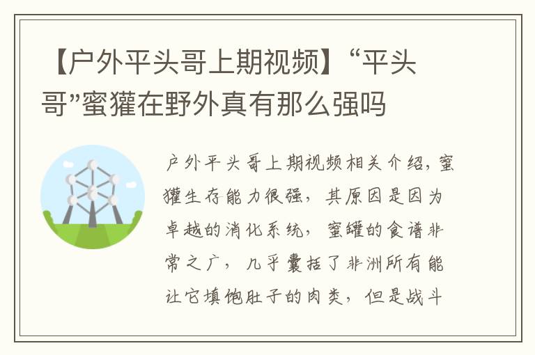 【戶外平頭哥上期視頻】“平頭哥"蜜獾在野外真有那么強(qiáng)嗎？真相在這里-戶外動(dòng)物知識(shí)