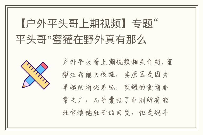 【戶外平頭哥上期視頻】專題“平頭哥"蜜獾在野外真有那么強(qiáng)嗎？真相在這里-戶外動物知識