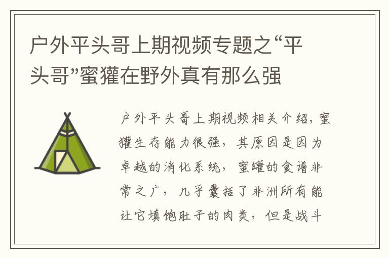 戶外平頭哥上期視頻專題之“平頭哥"蜜獾在野外真有那么強(qiáng)嗎？真相在這里-戶外動(dòng)物知識(shí)