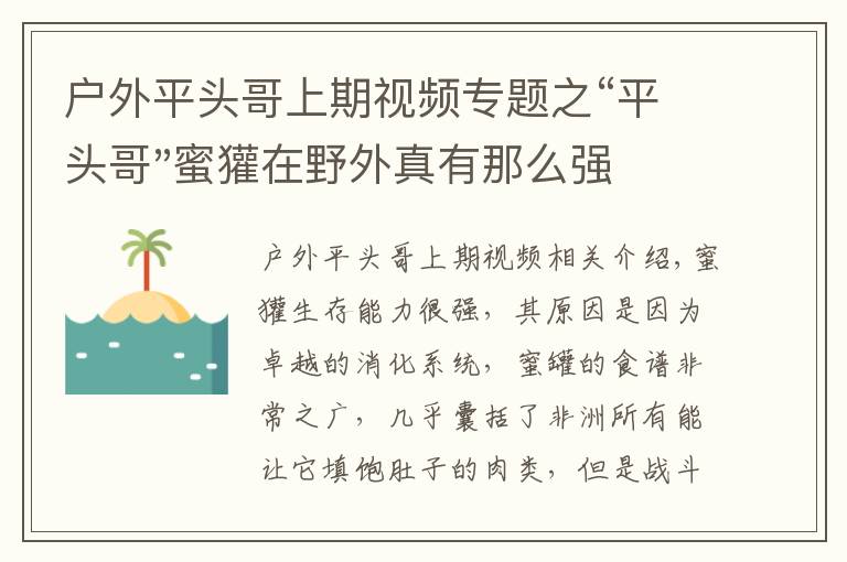 戶外平頭哥上期視頻專題之“平頭哥"蜜獾在野外真有那么強(qiáng)嗎？真相在這里-戶外動(dòng)物知識