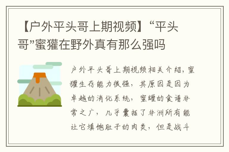 【戶外平頭哥上期視頻】“平頭哥"蜜獾在野外真有那么強(qiáng)嗎？真相在這里-戶外動物知識