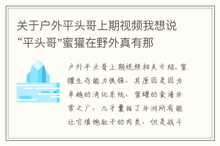 關(guān)于戶外平頭哥上期視頻我想說“平頭哥"蜜獾在野外真有那么強(qiáng)嗎？真相在這里-戶外動物知識