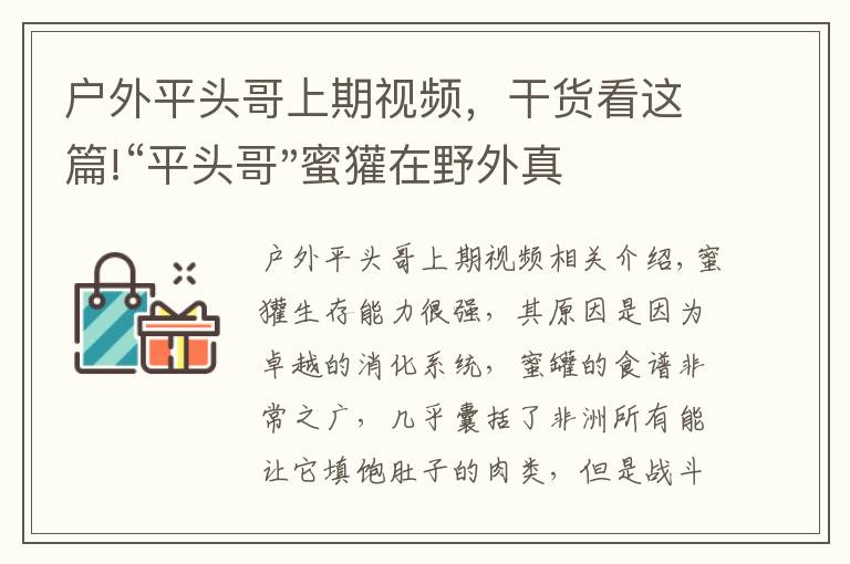 戶外平頭哥上期視頻，干貨看這篇!“平頭哥"蜜獾在野外真有那么強(qiáng)嗎？真相在這里-戶外動(dòng)物知識(shí)