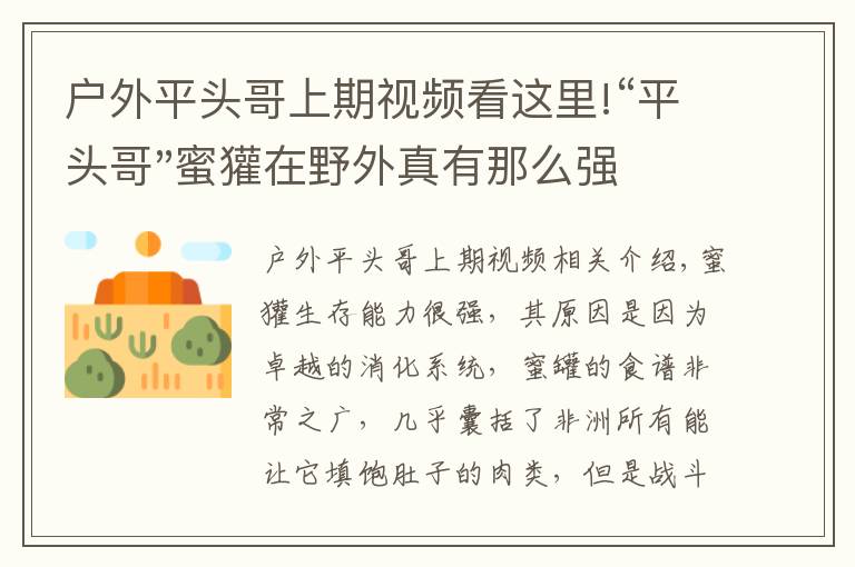 戶外平頭哥上期視頻看這里!“平頭哥"蜜獾在野外真有那么強(qiáng)嗎？真相在這里-戶外動(dòng)物知識(shí)