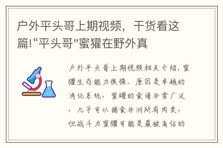 戶外平頭哥上期視頻，干貨看這篇!“平頭哥"蜜獾在野外真有那么強(qiáng)嗎？真相在這里-戶外動(dòng)物知識(shí)