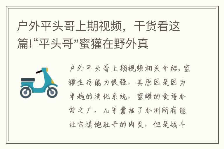 戶外平頭哥上期視頻，干貨看這篇!“平頭哥"蜜獾在野外真有那么強(qiáng)嗎？真相在這里-戶外動物知識