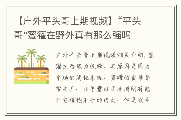 【戶外平頭哥上期視頻】“平頭哥"蜜獾在野外真有那么強(qiáng)嗎？真相在這里-戶外動(dòng)物知識