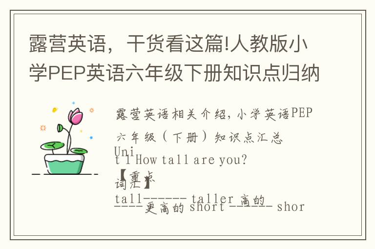 露營(yíng)英語(yǔ)，干貨看這篇!人教版小學(xué)PEP英語(yǔ)六年級(jí)下冊(cè)知識(shí)點(diǎn)歸納