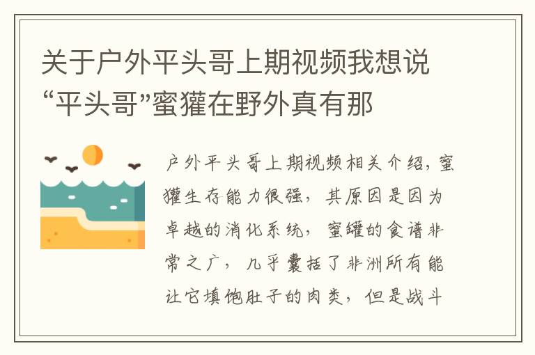 關(guān)于戶外平頭哥上期視頻我想說“平頭哥"蜜獾在野外真有那么強(qiáng)嗎？真相在這里-戶外動物知識