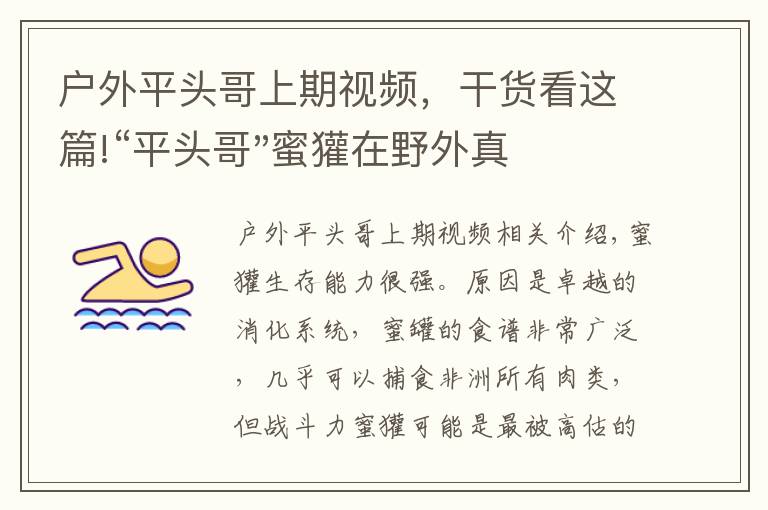 戶外平頭哥上期視頻，干貨看這篇!“平頭哥"蜜獾在野外真有那么強(qiáng)嗎？真相在這里-戶外動(dòng)物知識(shí)