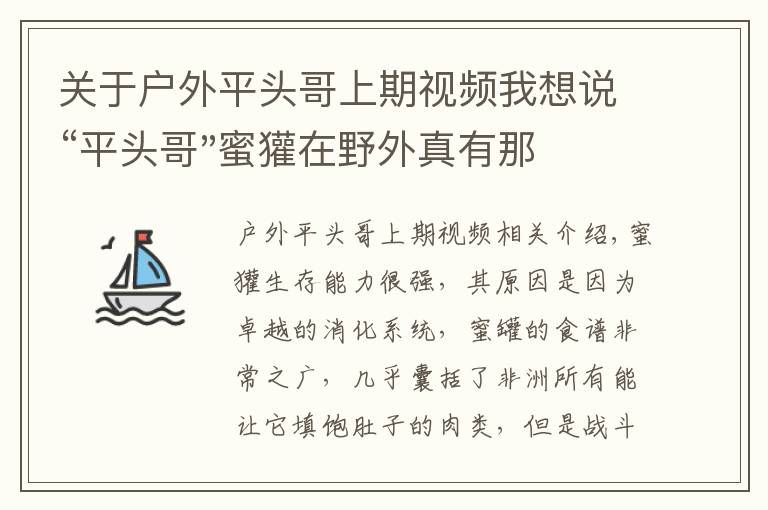 關(guān)于戶外平頭哥上期視頻我想說“平頭哥"蜜獾在野外真有那么強(qiáng)嗎？真相在這里-戶外動物知識