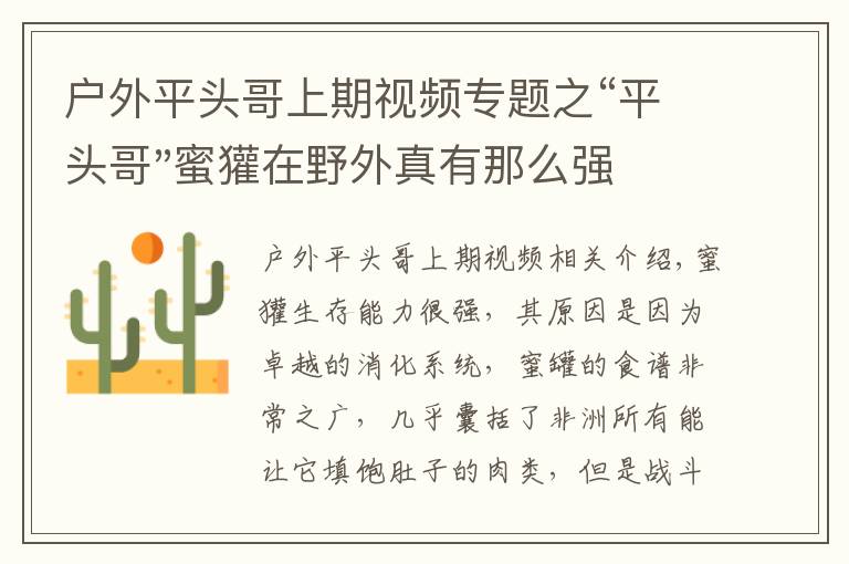 戶外平頭哥上期視頻專題之“平頭哥"蜜獾在野外真有那么強(qiáng)嗎？真相在這里-戶外動物知識