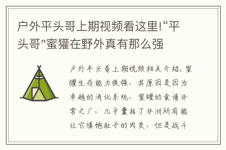 戶外平頭哥上期視頻看這里!“平頭哥"蜜獾在野外真有那么強(qiáng)嗎？真相在這里-戶外動(dòng)物知識(shí)