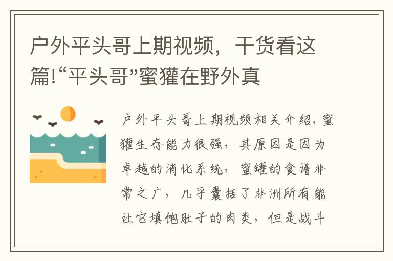 戶外平頭哥上期視頻，干貨看這篇!“平頭哥"蜜獾在野外真有那么強(qiáng)嗎？真相在這里-戶外動(dòng)物知識(shí)