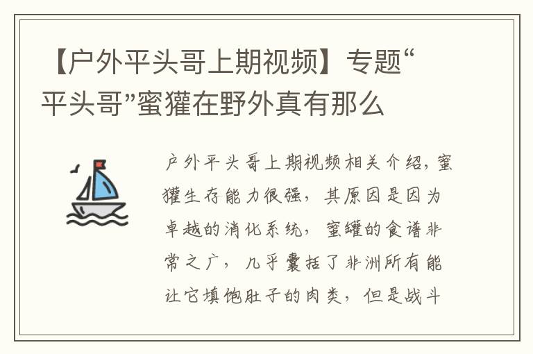 【戶外平頭哥上期視頻】專題“平頭哥"蜜獾在野外真有那么強(qiáng)嗎？真相在這里-戶外動(dòng)物知識(shí)