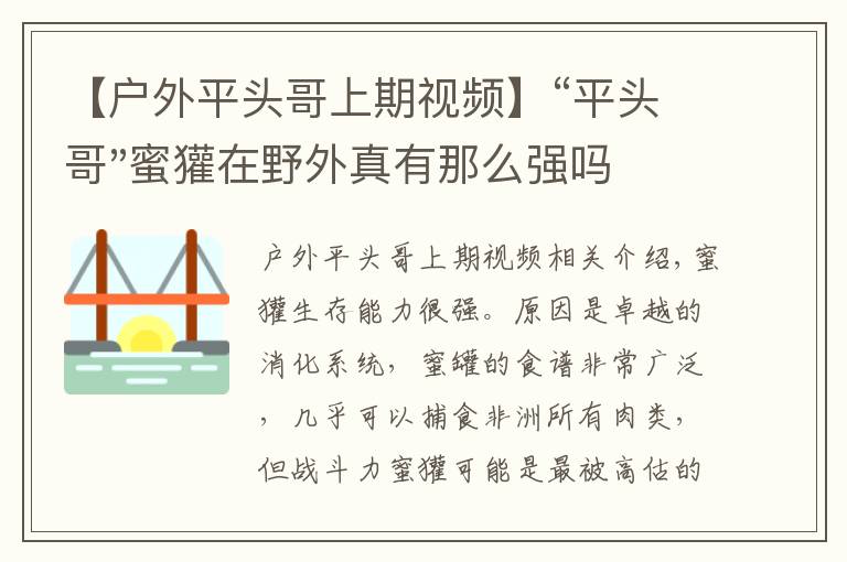 【戶外平頭哥上期視頻】“平頭哥"蜜獾在野外真有那么強嗎？真相在這里-戶外動物知識