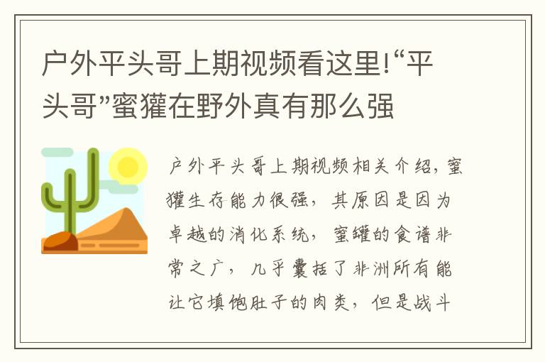 戶外平頭哥上期視頻看這里!“平頭哥"蜜獾在野外真有那么強(qiáng)嗎？真相在這里-戶外動(dòng)物知識(shí)