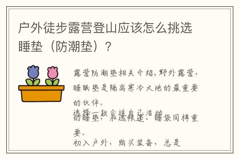 戶外徒步露營登山應該怎么挑選睡墊（防潮墊）？