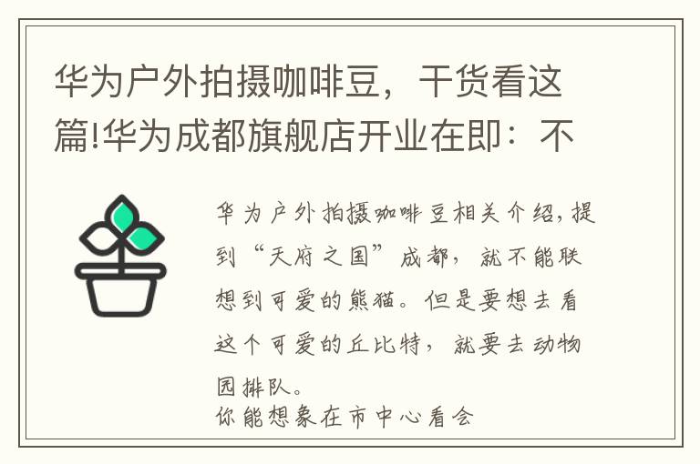 華為戶外拍攝咖啡豆，干貨看這篇!華為成都旗艦店開業(yè)在即：不止產(chǎn)品全，更有趣味交互等你體驗(yàn)