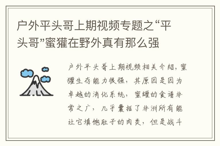 戶外平頭哥上期視頻專題之“平頭哥"蜜獾在野外真有那么強(qiáng)嗎？真相在這里-戶外動物知識