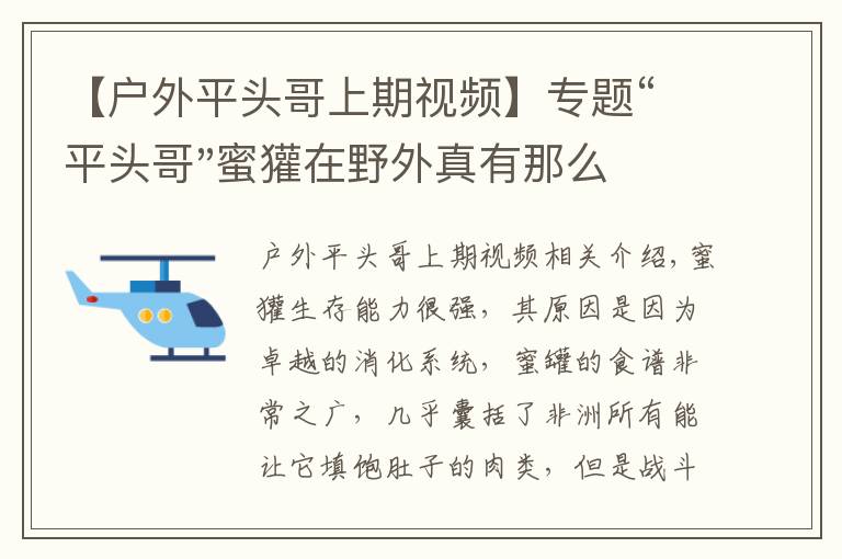 【戶外平頭哥上期視頻】專題“平頭哥"蜜獾在野外真有那么強嗎？真相在這里-戶外動物知識