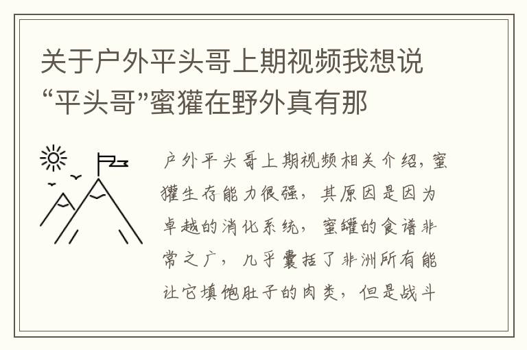 關(guān)于戶外平頭哥上期視頻我想說(shuō)“平頭哥"蜜獾在野外真有那么強(qiáng)嗎？真相在這里-戶外動(dòng)物知識(shí)