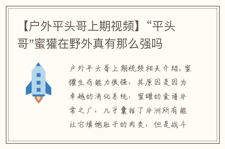 【戶外平頭哥上期視頻】“平頭哥"蜜獾在野外真有那么強嗎？真相在這里-戶外動物知識