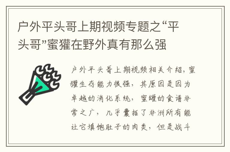 戶外平頭哥上期視頻專題之“平頭哥"蜜獾在野外真有那么強嗎？真相在這里-戶外動物知識