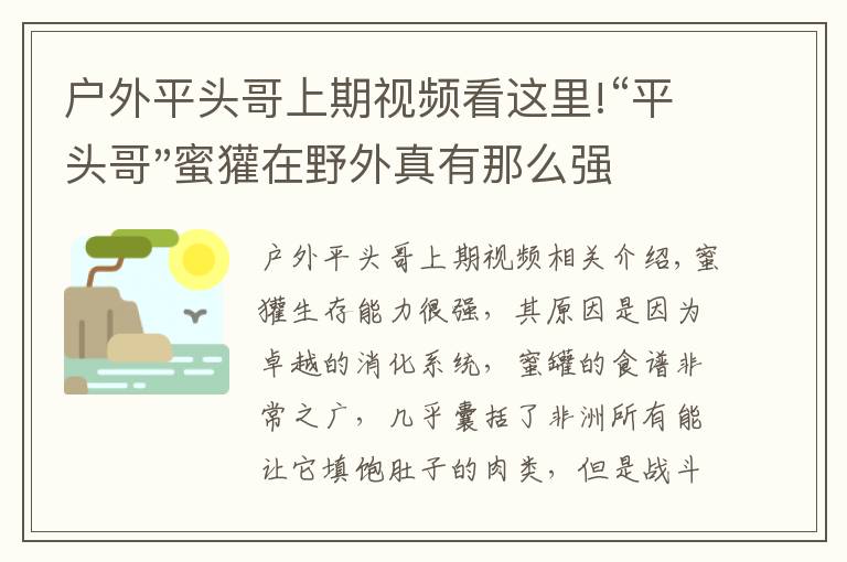 戶外平頭哥上期視頻看這里!“平頭哥"蜜獾在野外真有那么強(qiáng)嗎？真相在這里-戶外動(dòng)物知識