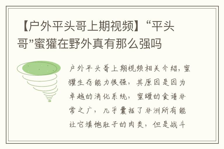 【戶外平頭哥上期視頻】“平頭哥"蜜獾在野外真有那么強(qiáng)嗎？真相在這里-戶外動(dòng)物知識(shí)