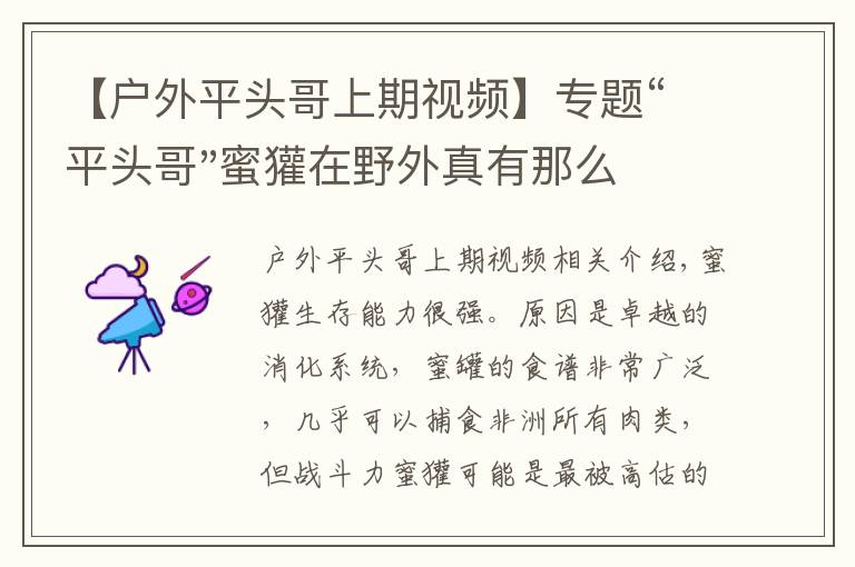 【戶外平頭哥上期視頻】專題“平頭哥"蜜獾在野外真有那么強嗎？真相在這里-戶外動物知識