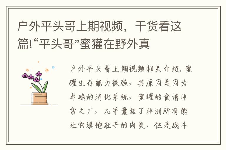 戶外平頭哥上期視頻，干貨看這篇!“平頭哥"蜜獾在野外真有那么強(qiáng)嗎？真相在這里-戶外動物知識