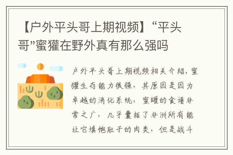 【戶外平頭哥上期視頻】“平頭哥"蜜獾在野外真有那么強(qiáng)嗎？真相在這里-戶外動物知識