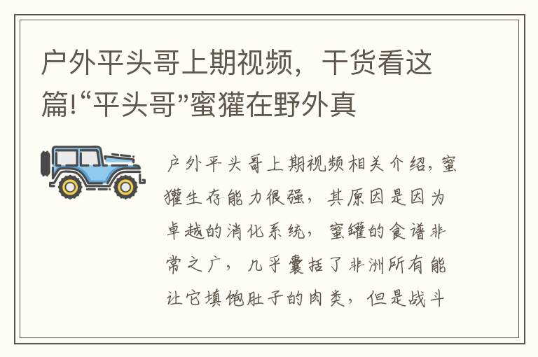 戶外平頭哥上期視頻，干貨看這篇!“平頭哥"蜜獾在野外真有那么強(qiáng)嗎？真相在這里-戶外動物知識