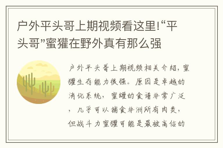 戶外平頭哥上期視頻看這里!“平頭哥"蜜獾在野外真有那么強(qiáng)嗎？真相在這里-戶外動物知識