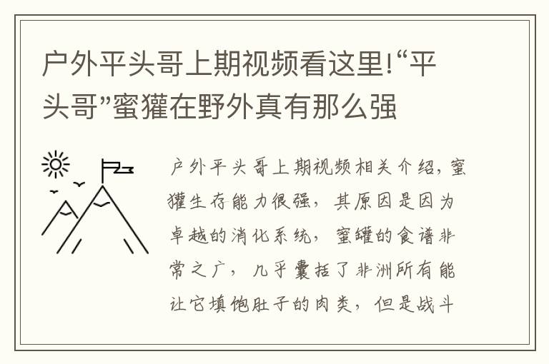 戶外平頭哥上期視頻看這里!“平頭哥"蜜獾在野外真有那么強(qiáng)嗎？真相在這里-戶外動(dòng)物知識(shí)