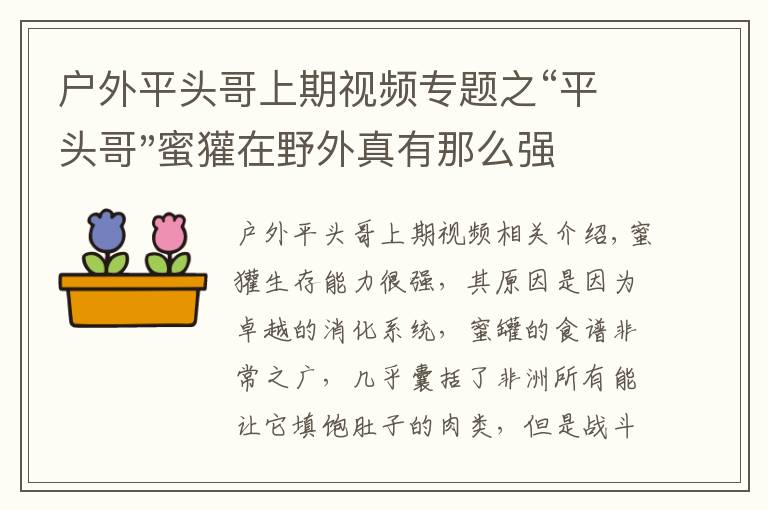 戶外平頭哥上期視頻專題之“平頭哥"蜜獾在野外真有那么強(qiáng)嗎？真相在這里-戶外動(dòng)物知識(shí)