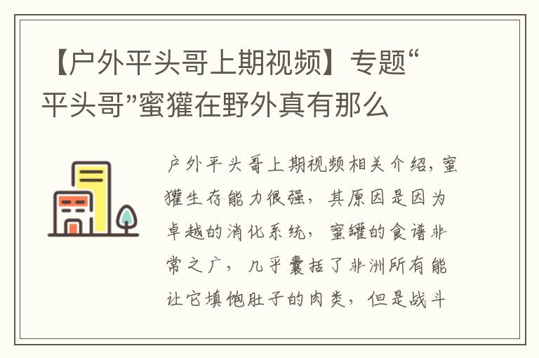 【戶外平頭哥上期視頻】專題“平頭哥"蜜獾在野外真有那么強(qiáng)嗎？真相在這里-戶外動(dòng)物知識(shí)