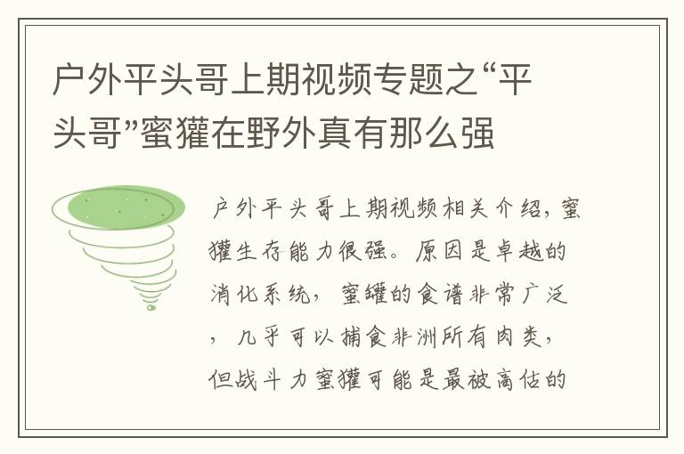 戶外平頭哥上期視頻專題之“平頭哥"蜜獾在野外真有那么強嗎？真相在這里-戶外動物知識