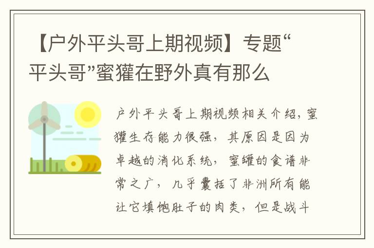 【戶外平頭哥上期視頻】專題“平頭哥"蜜獾在野外真有那么強(qiáng)嗎？真相在這里-戶外動物知識