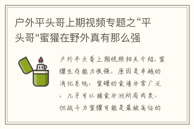 戶外平頭哥上期視頻專題之“平頭哥"蜜獾在野外真有那么強(qiáng)嗎？真相在這里-戶外動(dòng)物知識