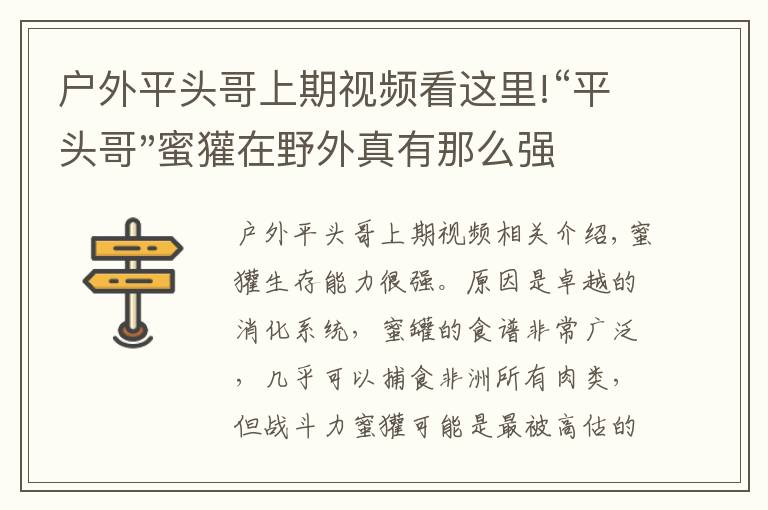 戶外平頭哥上期視頻看這里!“平頭哥"蜜獾在野外真有那么強嗎？真相在這里-戶外動物知識