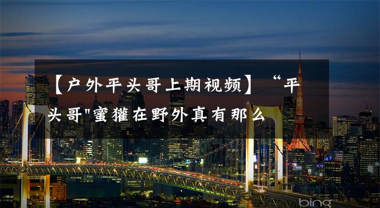 【戶外平頭哥上期視頻】“平頭哥"蜜獾在野外真有那么強(qiáng)嗎？真相在這里-戶外動物知識